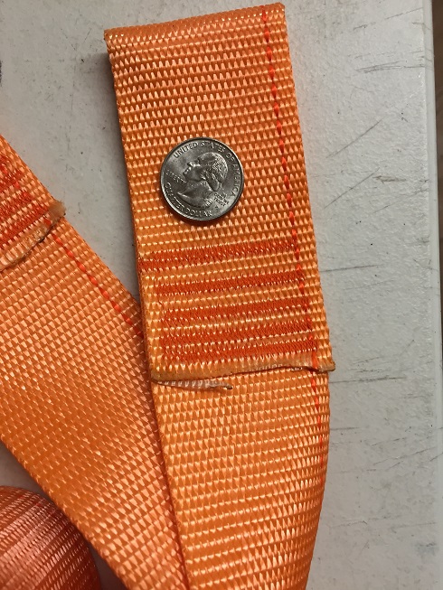 2 inch Orange Tree Huggers size comparison to quarter dollar