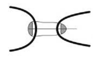 Clip Hook (Single)-3909