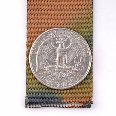 Camo Webbing (25 Feet)-4259