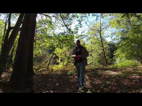 Bear Bag Throw Line-5536