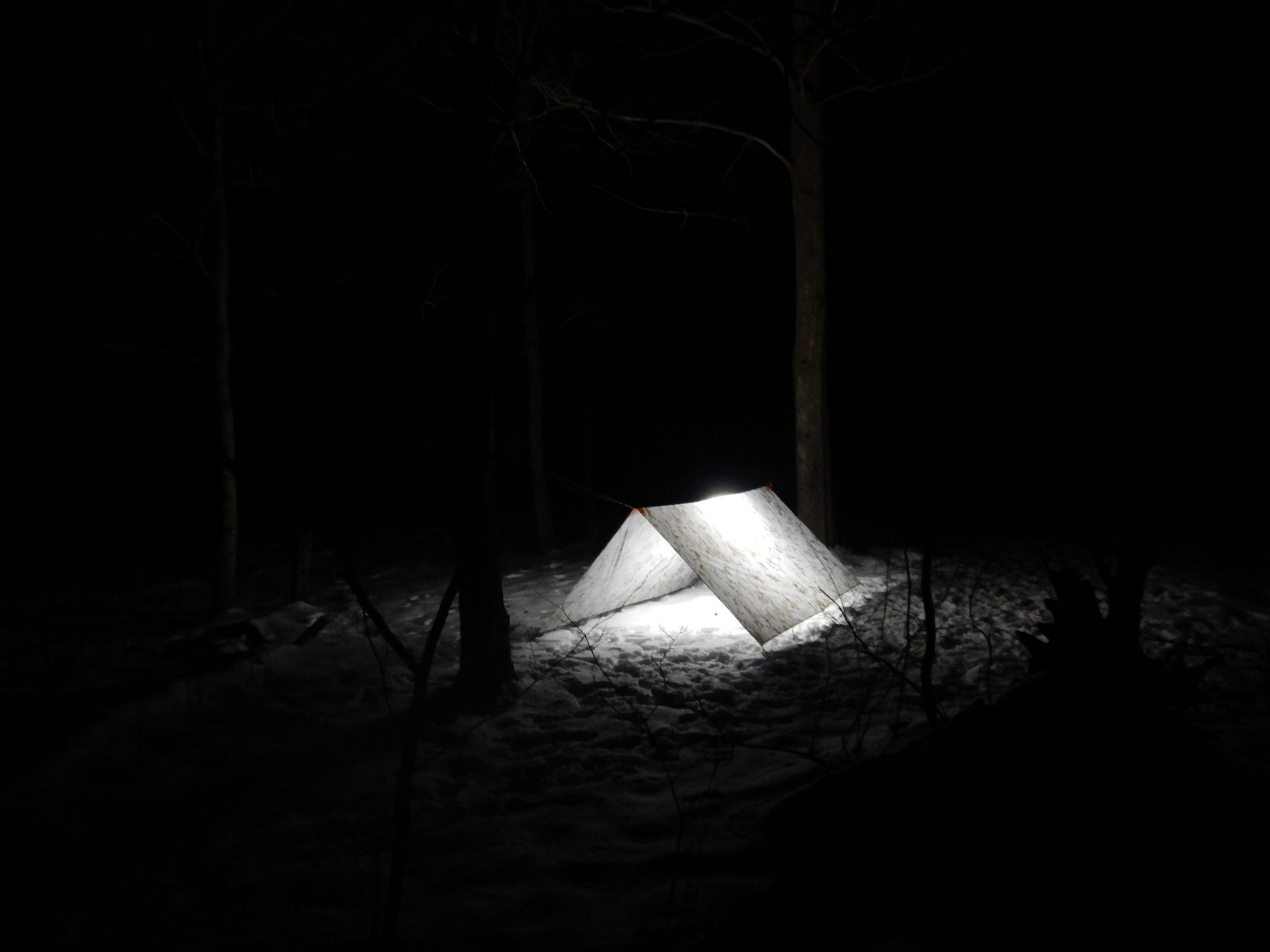 Dirtbag Den - Image 10